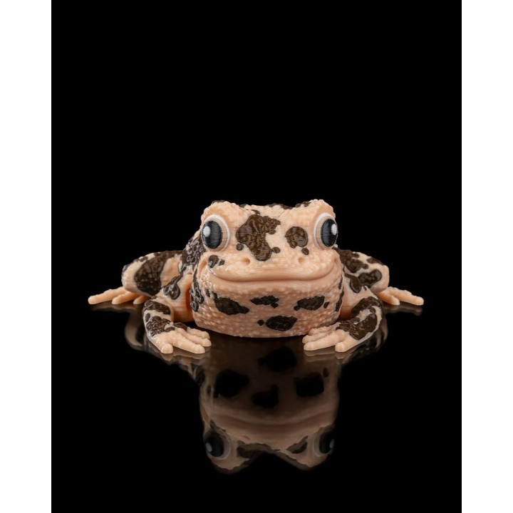 Grenouille Americaine Articulée - Figurine