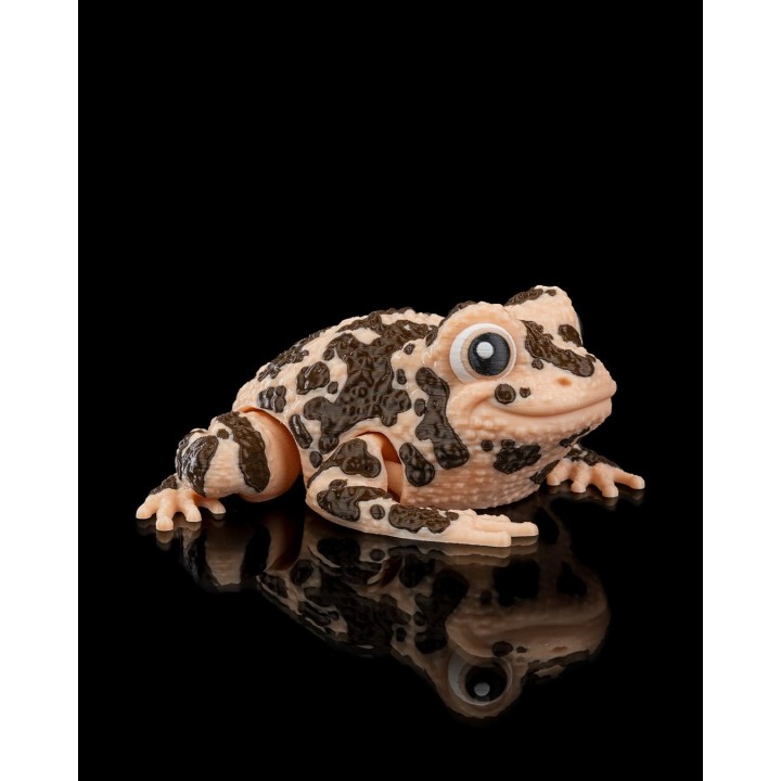 Grenouille Americaine Articulée - Figurine