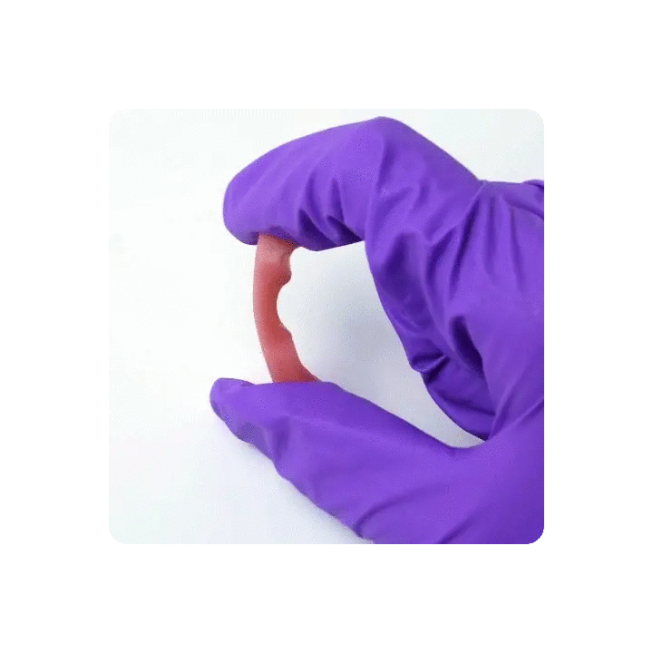 Phrozen - Gingiva Mask Resin - Rose (Pink) - 500 g