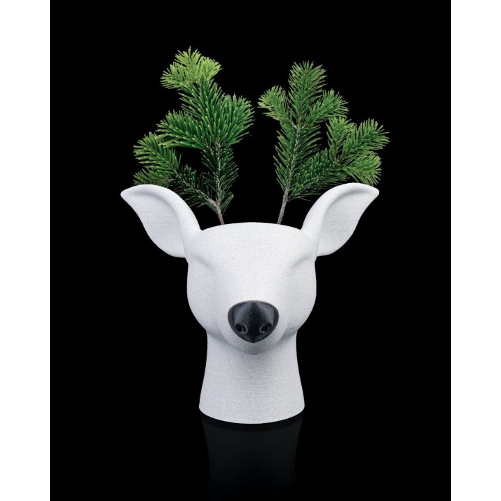 Racinolphe - Cache-Pot