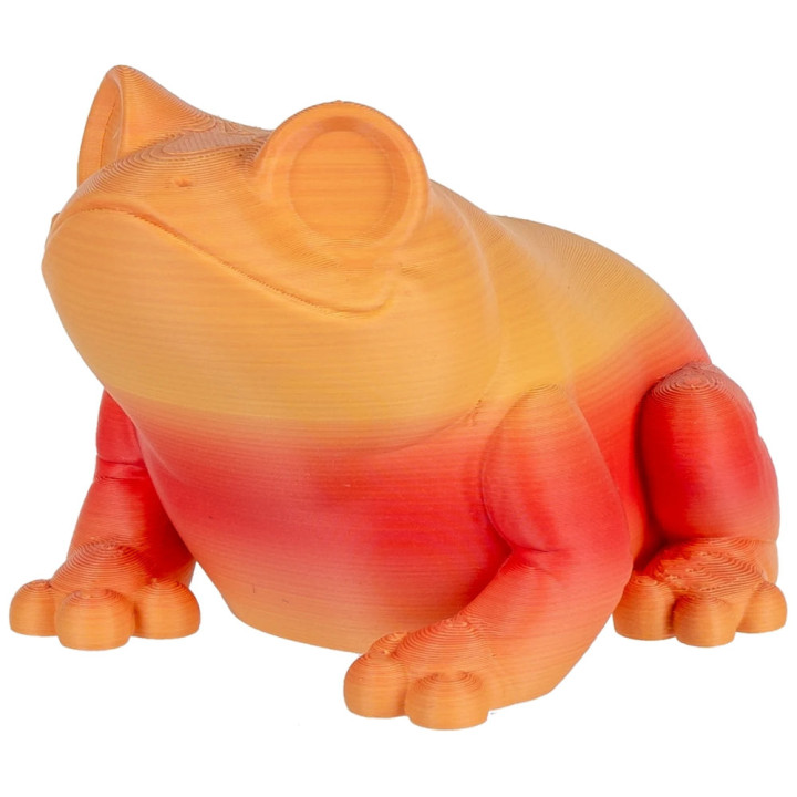 Panchroma PLA - Mat Dégradé d'Automne (Gradient Matte Fall) - 1,75 mm - 1 kg