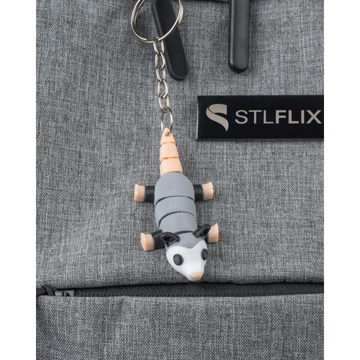 Opossum Affalé