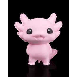 Axolotl Joyeux