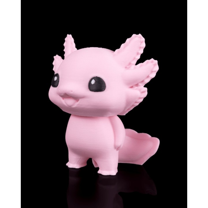 Axolotl Joyeux