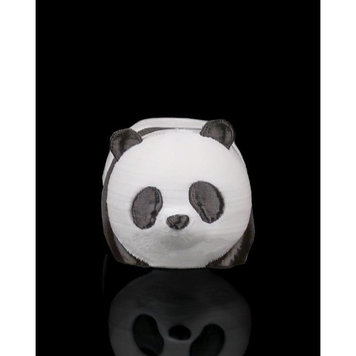 Panda au Repos