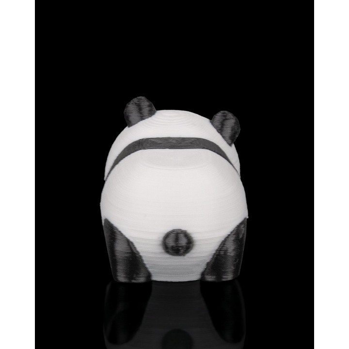 Panda au Repos