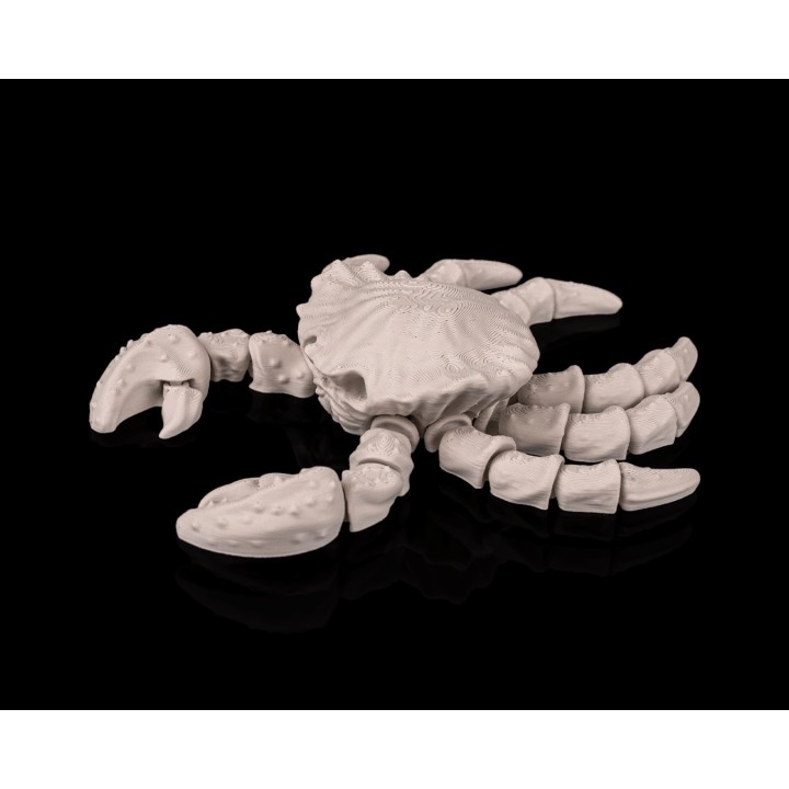 Crabe Squelette