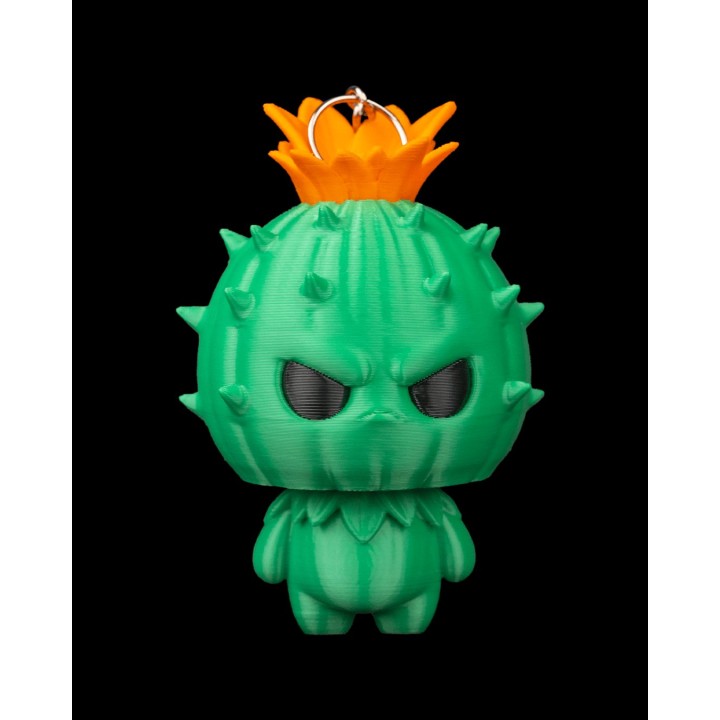 Cali, l'Esprit Cactus