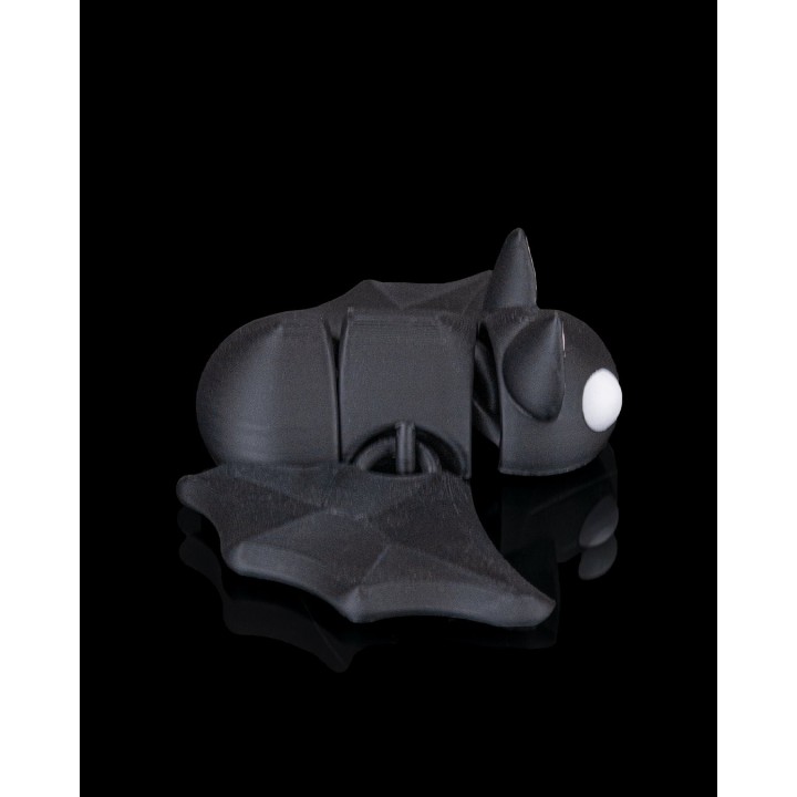 Chauve-Souris Endormie
