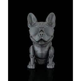 Pierre, le Bouledogue Français