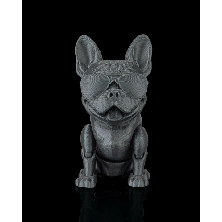 Pierre, le Bouledogue Français