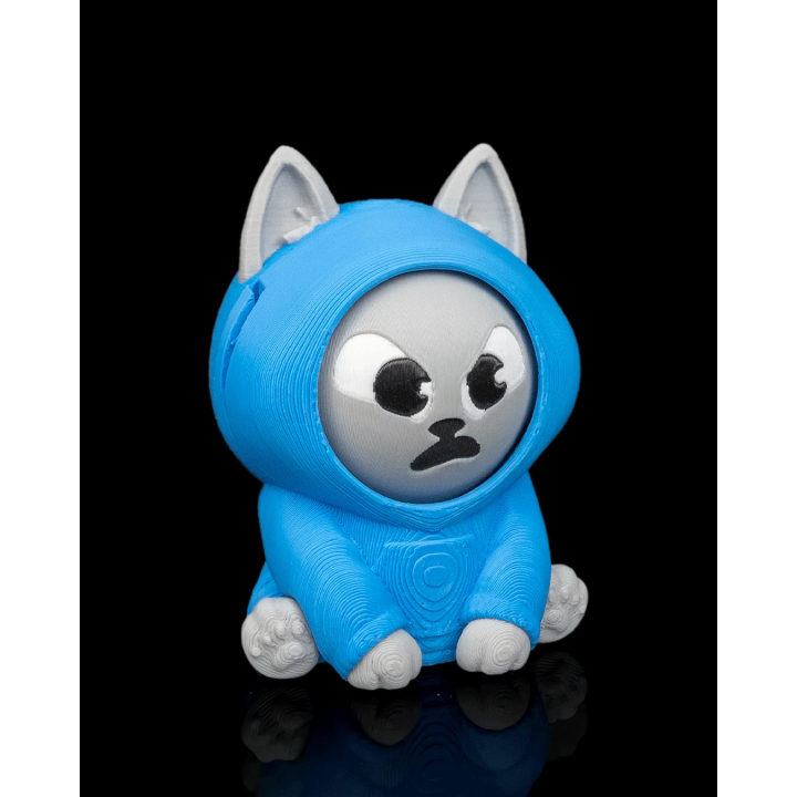 Chat à capuche – vue 4