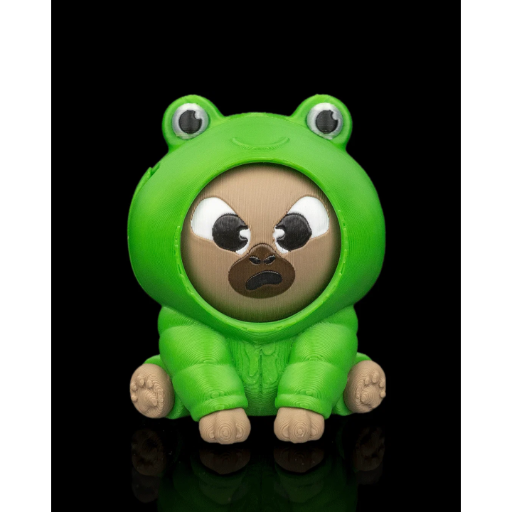 Grenouillobara – vue 2