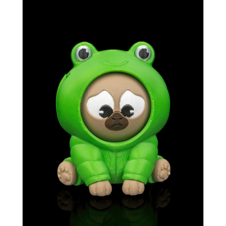 Grenouillobara – vue 3