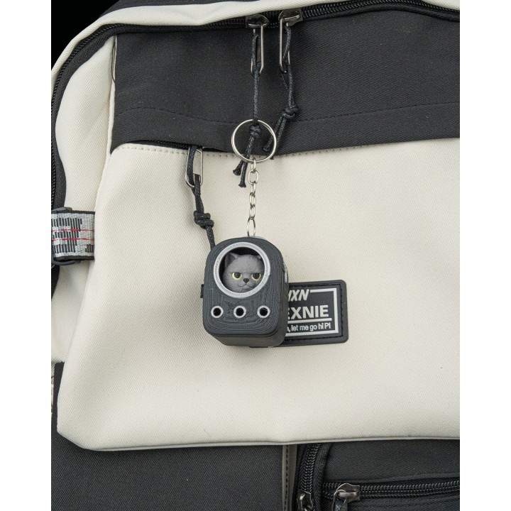 Trousse Quotidienne - Britannique à Poil Court