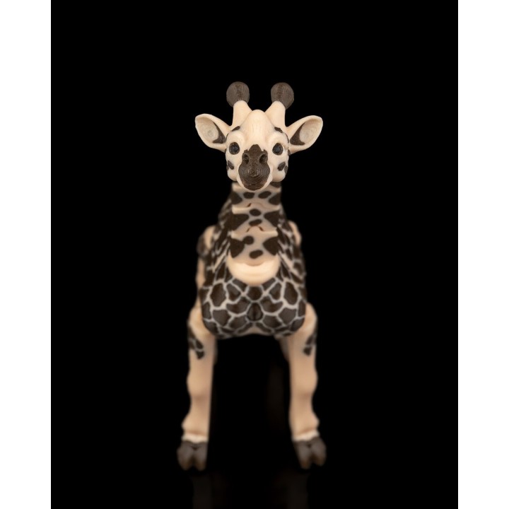 Girafe Artistique - Statue