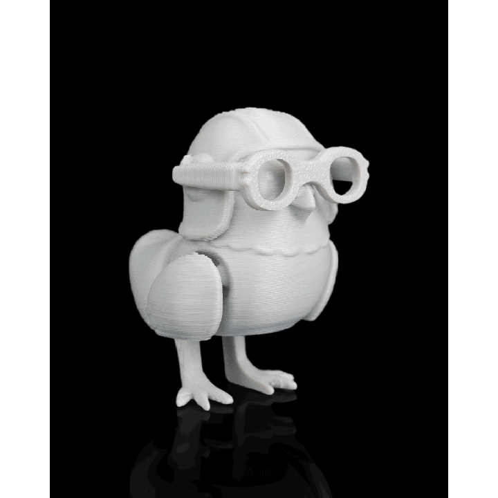 Ace Pidgeon Flippets – présentation Maison Drabiec