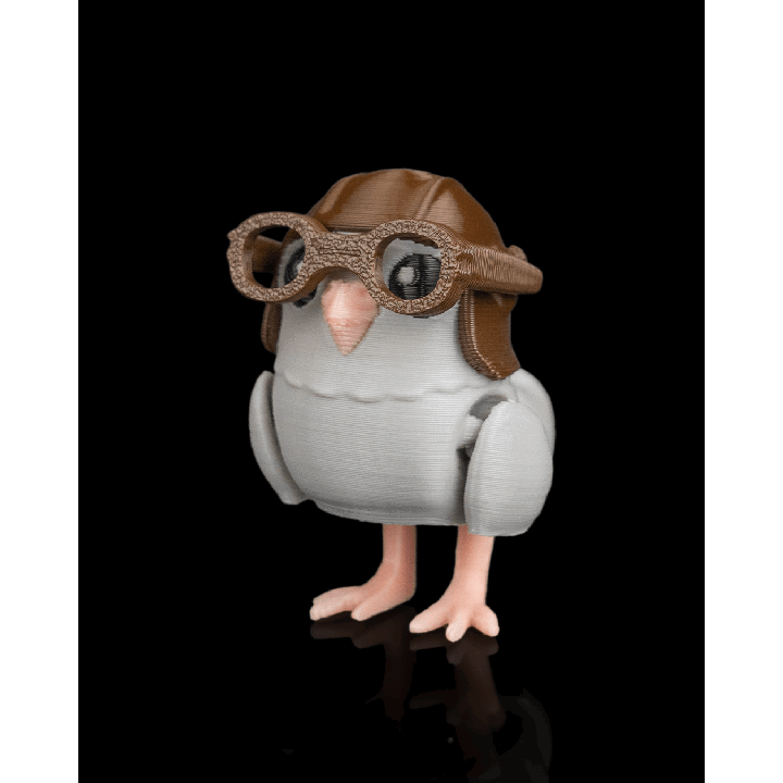 Ace Pidgeon Flippets – présentation Maison Drabiec