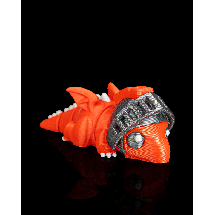 Sir Dragon – vue 4