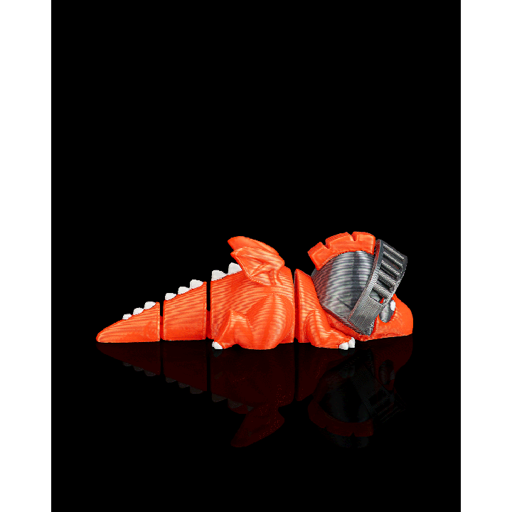Sir Dragon – vue 5