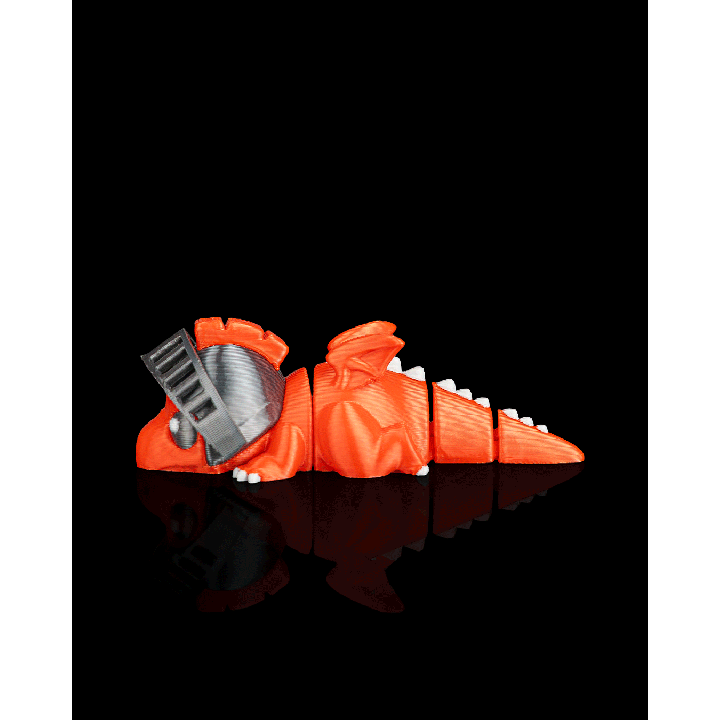 Sir Dragon Flippets – présentation Maison Drabiec