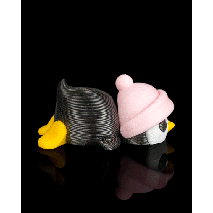 Beanie Waddle – vue 1