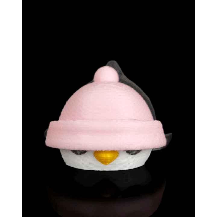 Beanie Waddle Flippets – présentation Maison Drabiec
