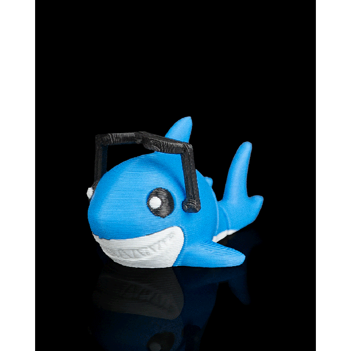 Requin Star - Flippets Flippets – présentation Maison.