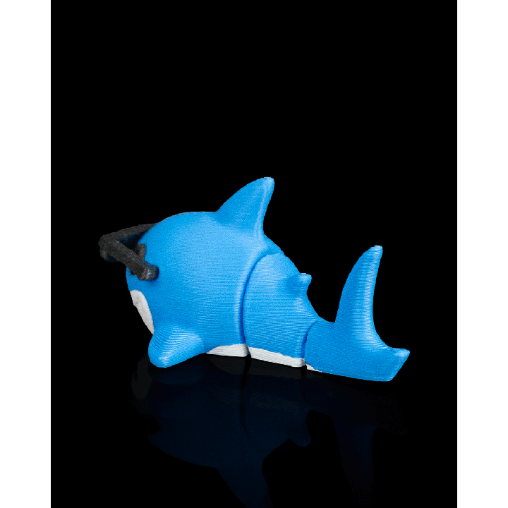 Requin Star - Flippets Flippets – présentation Maison.