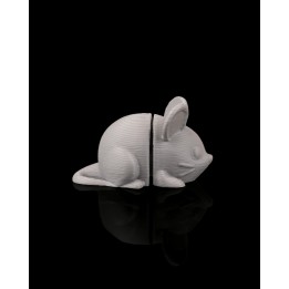 Tentative Souris - Support à Clés