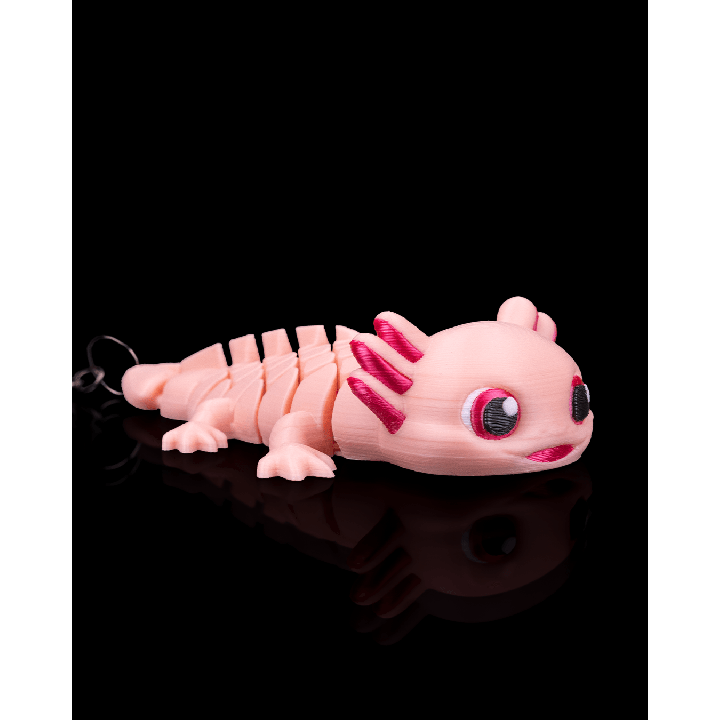 Ashley l’axolotl