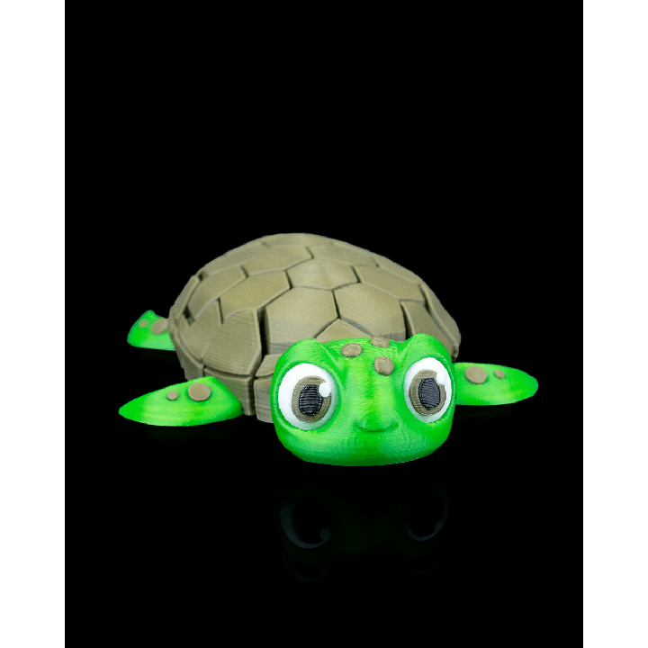 Myrtle la tortue