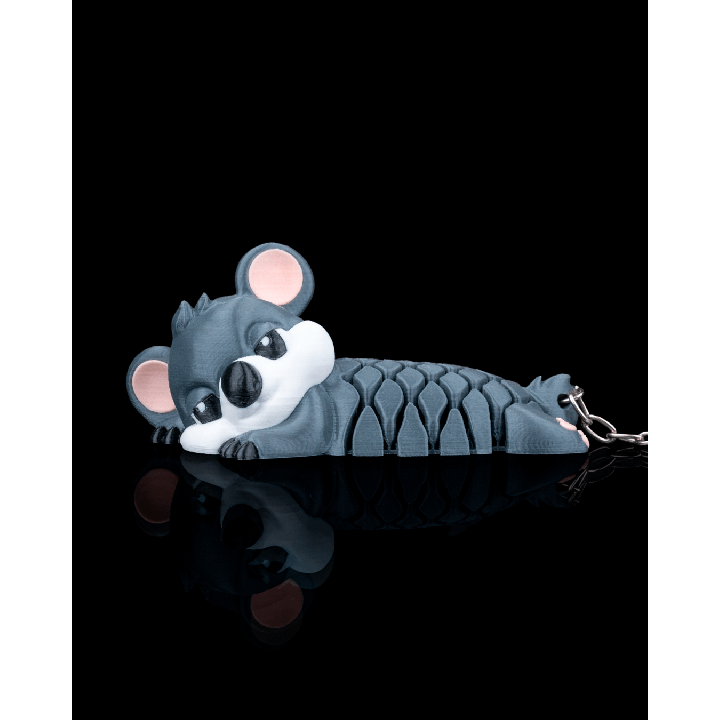 Lara le koala