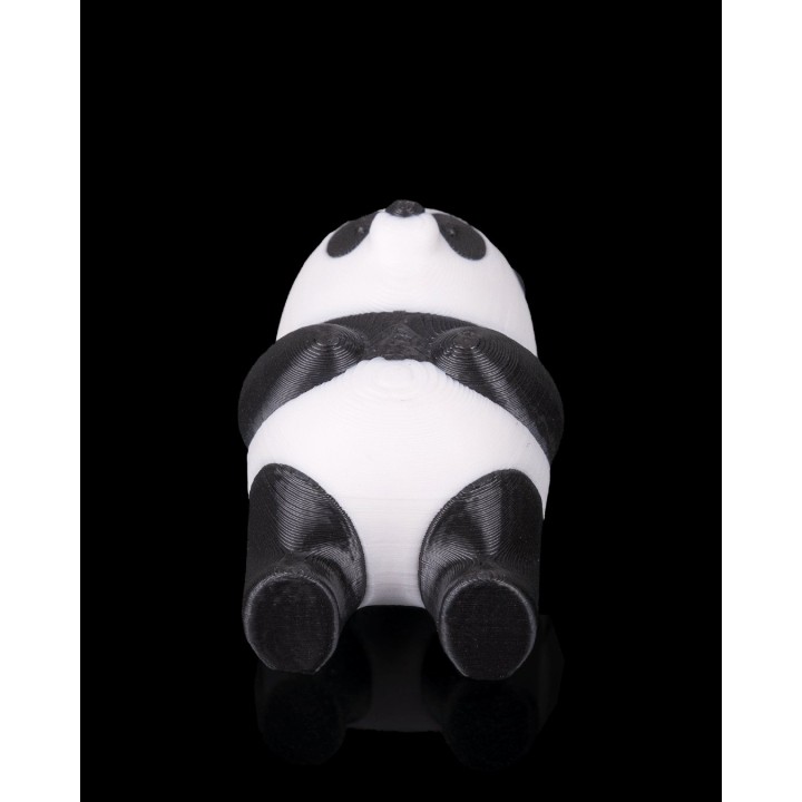 Panda Couché
