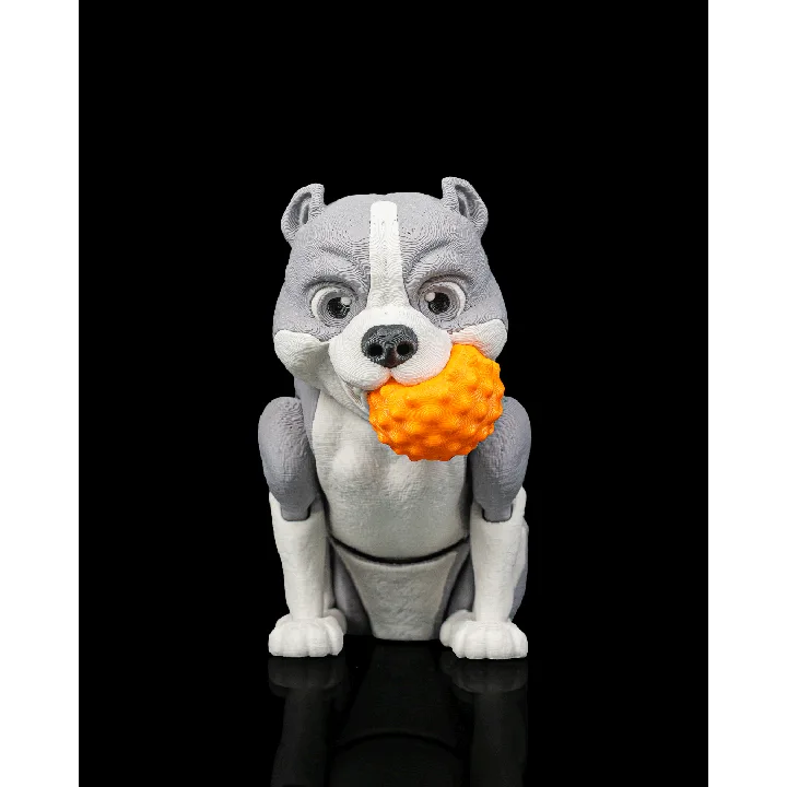 Diesel_the_American_Bully1_90971da721