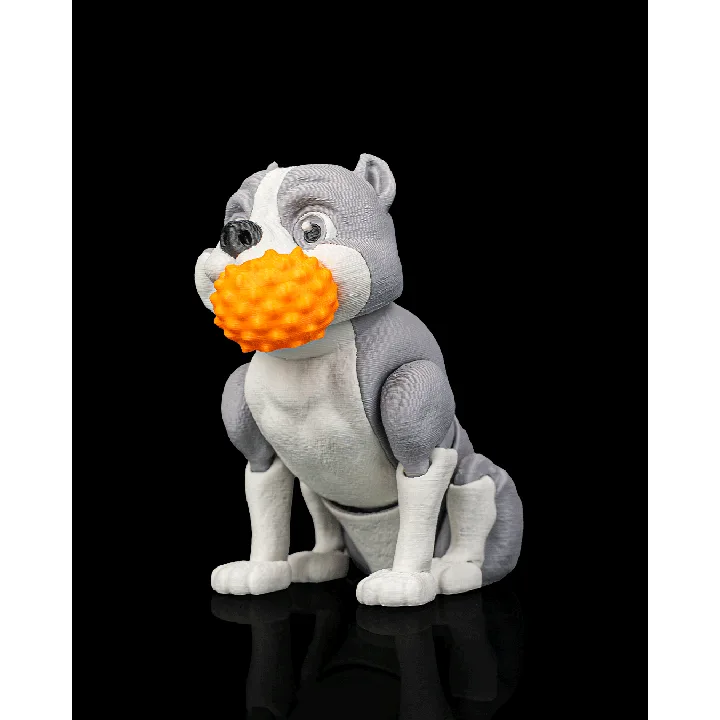 Diesel_the_American_Bully2_483896a70a