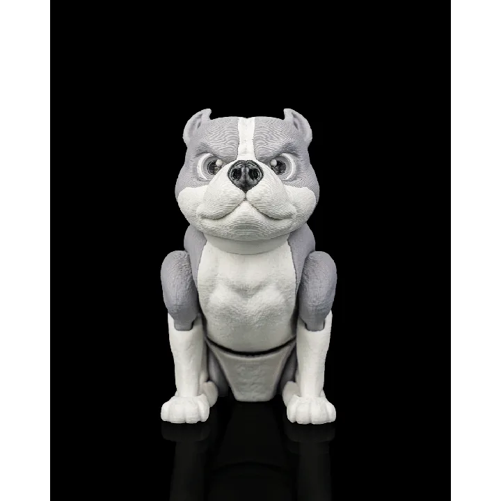 Diesel_the_American_Bully5_bacd31e0b8