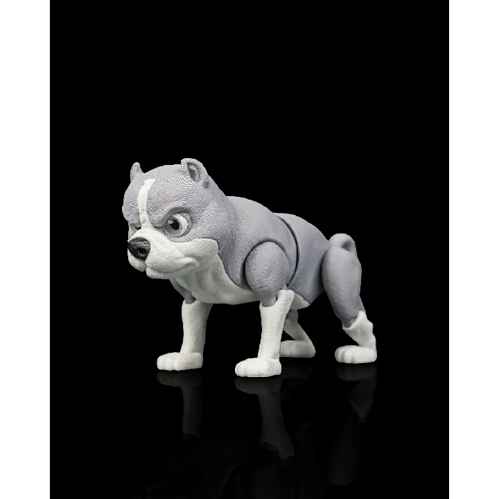 Diesel_the_American_Bully6_3a5150752d