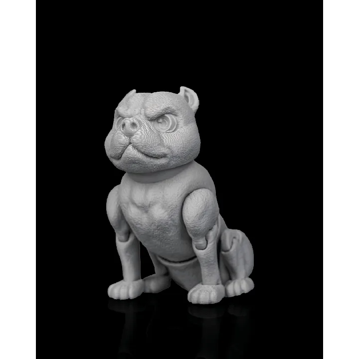 Diesel_the_American_Bully8_668cfd5b65
