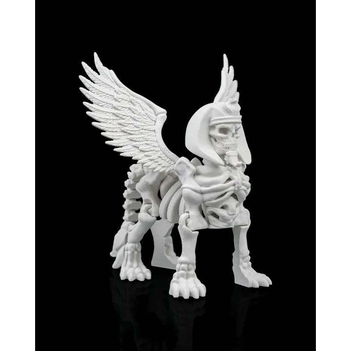 Maison Drabiec Strates