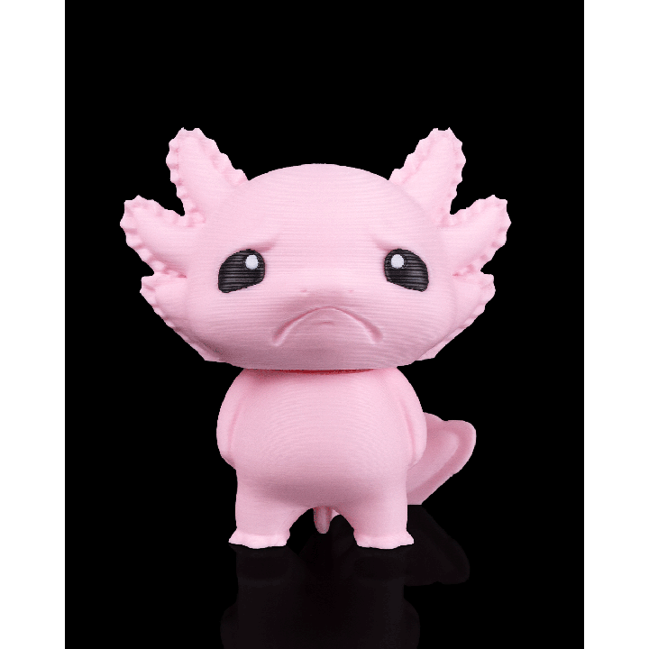 Gloomy Axolotl - Maison Drabiec