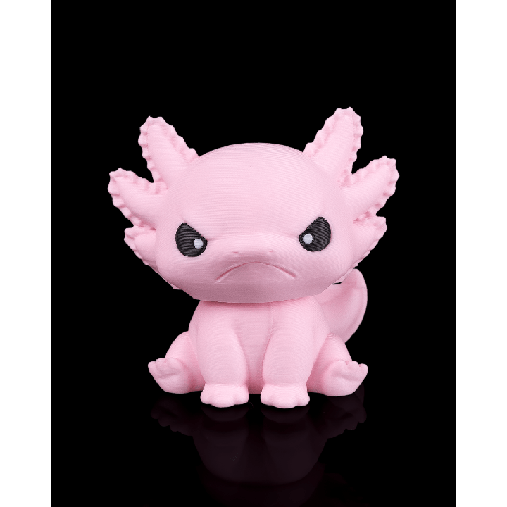 Grumpy Axolotl - Maison Drabiec