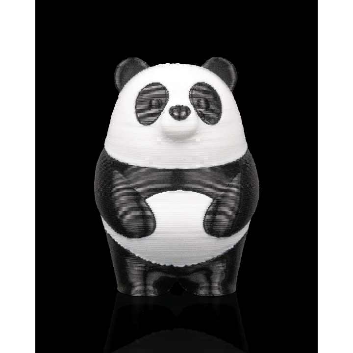 Panda debout