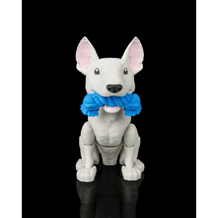 Brutus, le Bull-Terrier