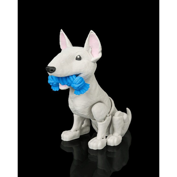 Brutus, le Bull-Terrier