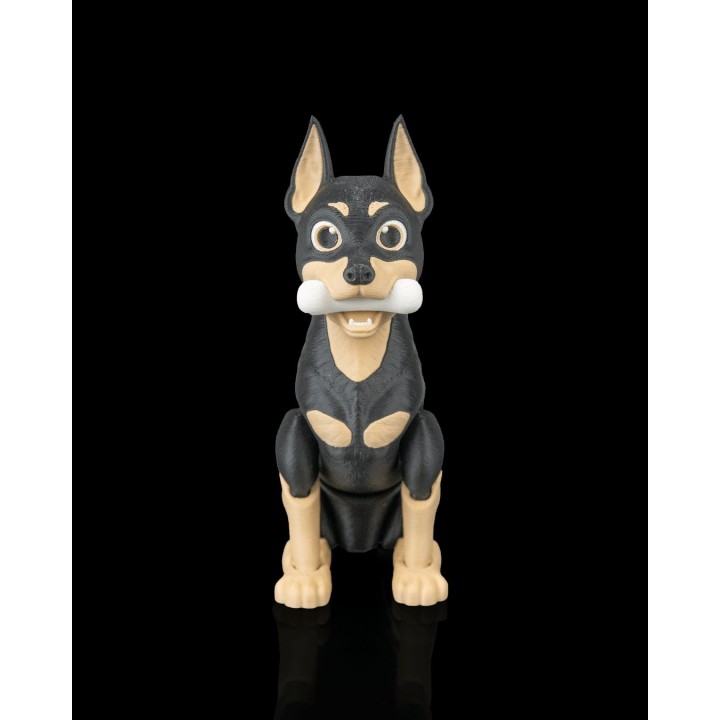 Axel, le Dobermann