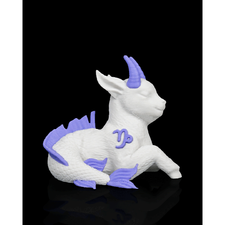Capricorn Charm