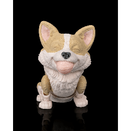 Willow le corgi
