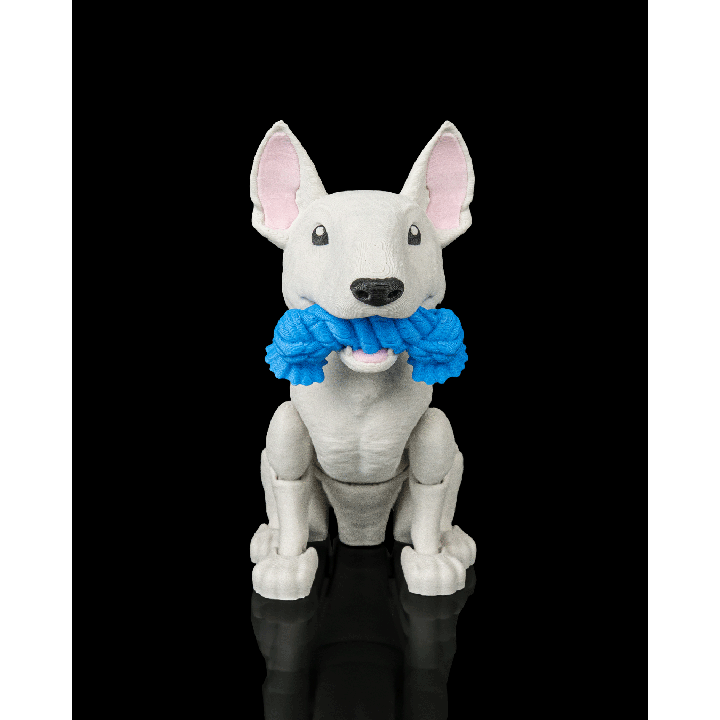 Brutus le bull terrier