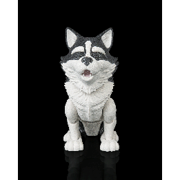 Niko le husky